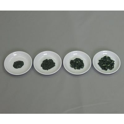 イワイサンプル フードモデル 離乳食・発達段階別素材単品 ほうれん草 44R-S 1セット 63-6506-41（直送品）