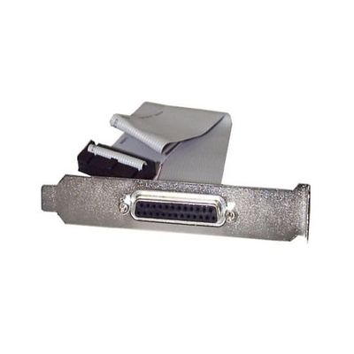 PLATE25F16（直送品）