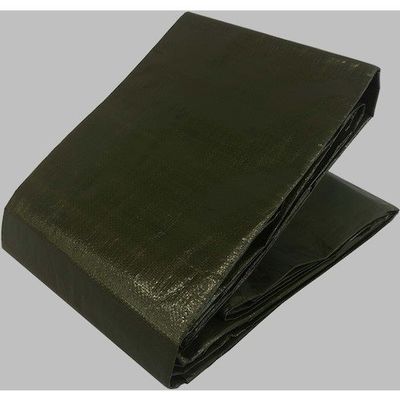 ユタカメイク ネオエコシート 5.4mx5.4m EDBS-13 1枚 506-8034（直送品）