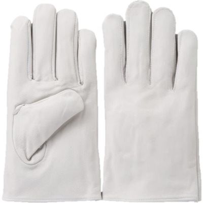 柏田製作所 柏田 牛革クレスト手袋 丸指型(無地袋仕様) L CN-514-L 1双 473-3995（直送品）