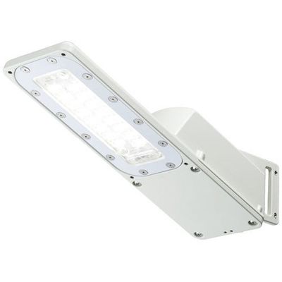 岩崎電気 岩崎 LED防犯灯(10VA 自動点滅機能なし) E70074SAN9 1台 563-0178（直送品）