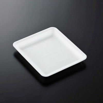 中央化学 発泡トレー CN 20-23EE (L) 230029 1ケース(900個(100個×9))（直送品）