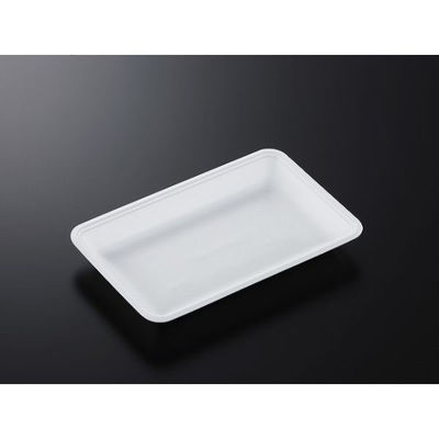 中央化学 発泡トレー CN 25-16F (L) 235812 1ケース(1200個(100個×12))（直送品）