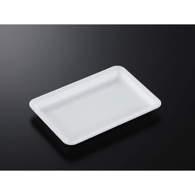 中央化学 発泡トレー CN 25-17F (L) 236588 1ケース(1200個(100個×12))（直送品）