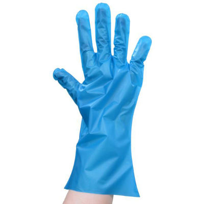サンフラワー ポリ手袋 No.433 ポリグローブ eco ブルー S 4560111942270 1ケース(8000個(200個×40))（直送品）