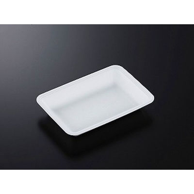 中央化学 発泡トレー CN 22-15G (L) 231381 1ケース(1500個(100個×15))（直送品）