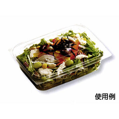 中央化学 惣菜容器 C-AP FVS 18-13A 身 178632 1袋(50個)（直送品）