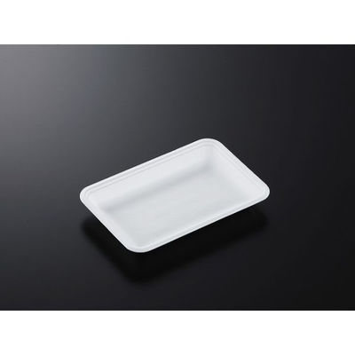 中央化学 発泡トレー CN 20-13E (L) 178293 1袋(100個)（直送品）