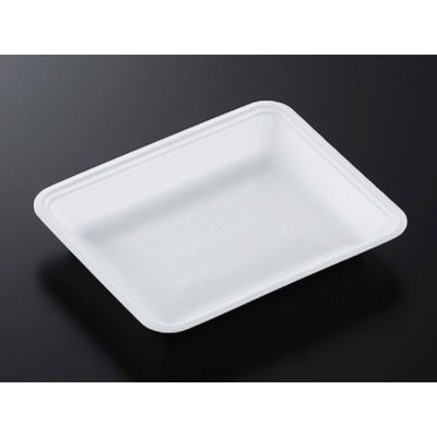 中央化学 発泡トレー CN 20-16F (L) 177246 1ケース(1600個(100個×16))（直送品）