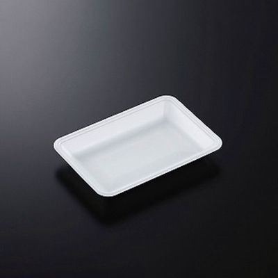 中央化学 発泡トレー CN 22-15F (L) 231092 1ケース(1600個(100個×16))（直送品）