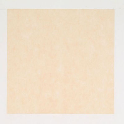東京メディカル 不織布 風呂敷 パステルカラー ベージュ 66×66cm 1600401 1ケース(1600個(100個×16))（直送品）