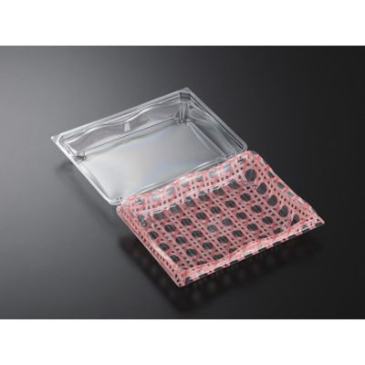 中央化学 フードパック リップル 20-15 ラタンP 294884 1袋(50個)（直送品）