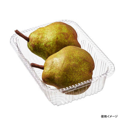 中央化学 フルーツ容器 C-APG フルーツ 6 379925 1袋(100個)（直送品）