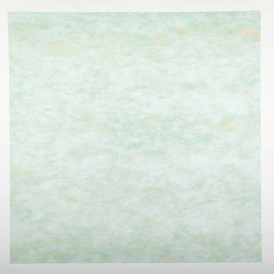 東京メディカル 不織布 風呂敷 メランジカラー 草原 66×66cm 1602685 1ケース(1400個(100個×14))（直送品）
