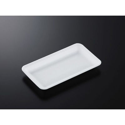 中央化学 発泡トレー CN 25-14E (L) 178657 1ケース(1500個(100個×15))（直送品）