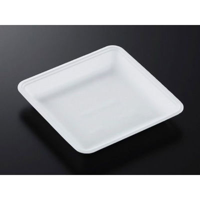 中央化学 発泡トレー CN 20-20FF (L) 393264 1ケース(1200個(100個×12))（直送品）