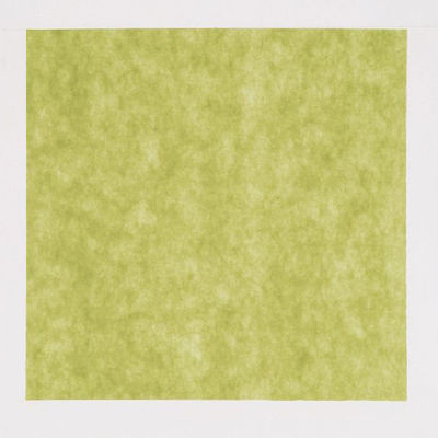 東京メディカル 不織布 風呂敷 パステルカラー ダークグリーン 90×90cm 1600599 1袋(100個)（直送品）