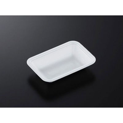 中央化学 発泡トレー CN 15-10F (L) 183095 1ケース(3500個(100個×35))（直送品）