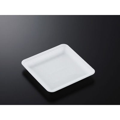 中央化学 発泡トレー CN 20-20EE (L) 229138 1袋(100個)（直送品）