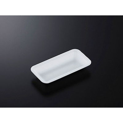 中央化学 発泡トレー CN 20-10F (L) 230441 1ケース(2400個(100個×24))（直送品）