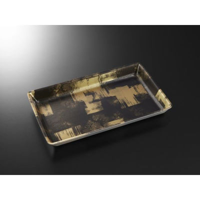 中央化学 発泡トレー C・FS-L5E(LL) 西陣BK内 18572 1ケース(1000個(50個×20))（直送品）