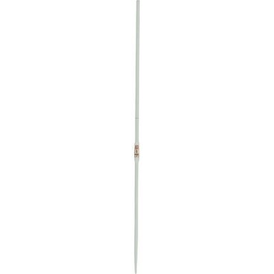 柴田科学 SIBATA ホールピペット カスタムA 1mL 021410-1A 1セット(10本) 108-0968（直送品）