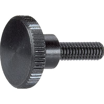 ロームヘルド・ハルダー HALDER ロングヘッドナールドボルト DIN 464 スチール 24790.0164 1個 106-3361（直送品）