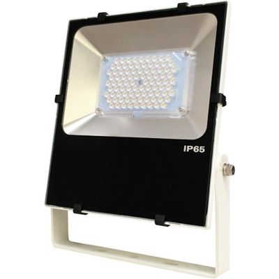 日機 屋外設置用LED投光器 80W AC100ー240V NLFL80A-AC-W06 1台 253-0000（直送品）