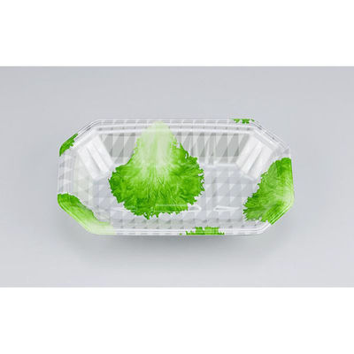 シーピー化成 発泡トレー 新L筏20-12-30 グラSL 0513201247210 1ケース(800個(50個×16)（直送品）