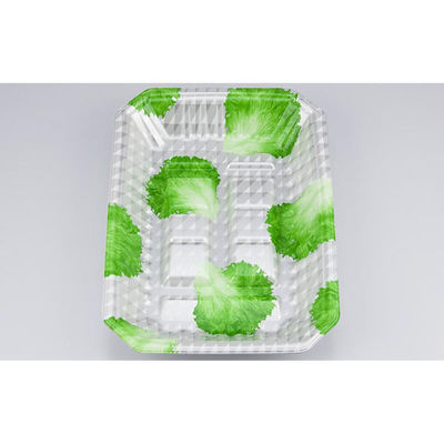 シーピー化成 発泡トレー 新L筏20-28-37 グラSL 0513202867210 1ケース(600個(50個×12)（直送品）