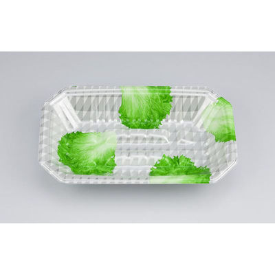 シーピー化成 発泡トレー 新L筏25-15-37 グラSL 0513251567210 1ケース(800個(50個×16)（直送品）