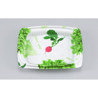 シーピー化成 惣菜容器 BFエコD13-11B サラダ 本体 0751131121895 1ケース(2000個(50個×40)（直送品）