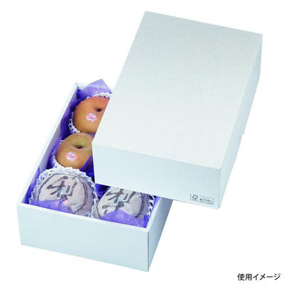 ヤマニパッケージ 贈答箱 パール13 FS LTO-13FS 1ケース(50個(25個×2)（直送品）