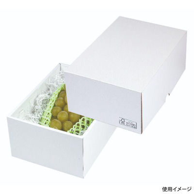 ヤマニパッケージ 贈答箱 パール18 FS LTO-18FS 1ケース(50個(25個×2)（直送品）