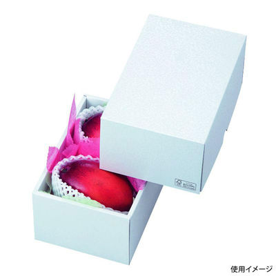 ヤマニパッケージ 贈答箱 パール19 FS LTO-19FS 1ケース(50個(25個×2)（直送品）