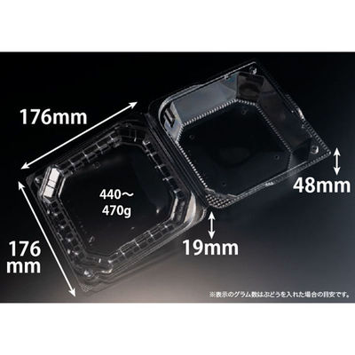 リスパック フルーツ容器 バイオ きらめき 18-18L(60) PBTV713 1袋(25個)（直送品）