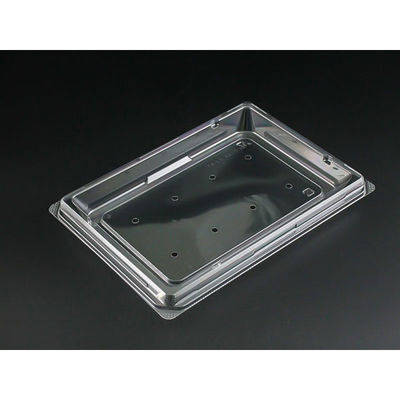 リスパック サラダ容器 バイオカップ キューブ H 21BF 穴8H PABK578 1袋(50個)（直送品）