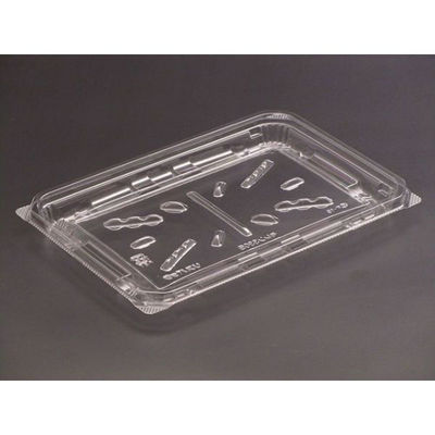 リスパック 軽食容器 バイオカップ モレン 330B PBQA380 1袋(50個)（直送品）