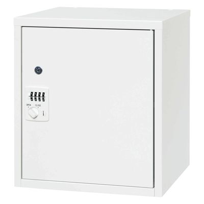 ダイシン工業 バリアス・シスト庫内用麻薬庫型 25252201 YC-04H 1台（直送品）