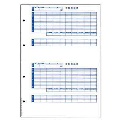 オービックビジネスコンサルタント 奉行シリーズ用専用 単票封筒用明細書 6235 1箱（直送品）