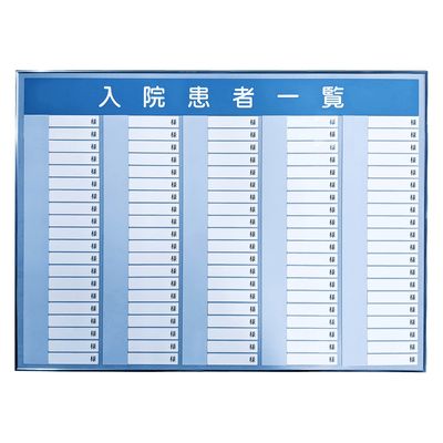 日本医理器材 入院患者一覧表R型(100名用) 24219903 820X600MM 1個（直送品）