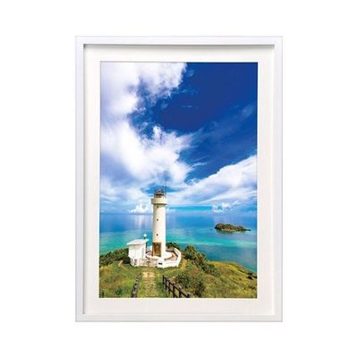 ハクバ写真産業 木製額縁 MMー01 A3ノビサイズ ホワイト FWMM01-WTA3N 1個 62-9754-84（直送品）