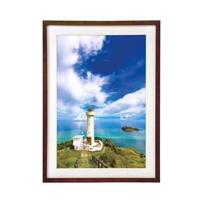 ハクバ写真産業 木製額縁 MMー01 A3ノビサイズ ブラウン FWMM01-BRA3N 1個 62-9754-86（直送品）