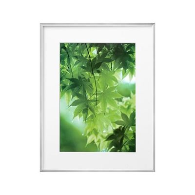 ハクバ写真産業 ZEROフレーム Gー01 A3 シルバー FZG01-A3SV 1個 62-9759-35（直送品）