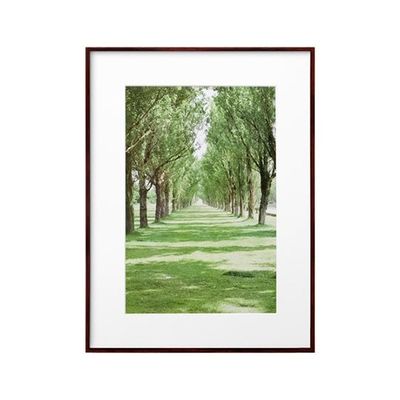 ハクバ写真産業 ZEROフレーム Gー01 A3ノビ ブラウン FZG01-A3NBR 1個 62-9759-40（直送品）