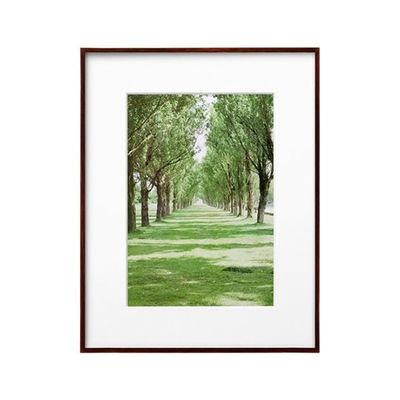 ハクバ写真産業 ZEROフレーム Gー01 A4 ブラウン FZG01-A4BR 1個 62-9759-44（直送品）