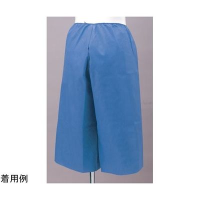 ハクゾウメディカル ハクゾウ穴あきパンツ DBー1 フリーサイズ 1枚入 1780195 1袋(1枚) 65-3748-50（直送品）