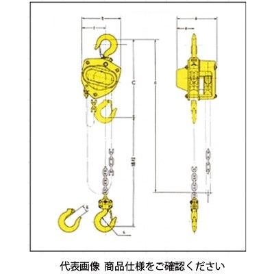 キトー KITO CB020(CL) マイティ(M3 CLチエン付) 2TONX3.0M 1台（直送