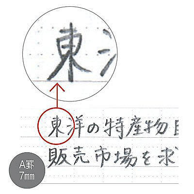 ナカバヤシ ロジカルノート・A4・B罫・ブルー no-A402B-B 1セット(10冊