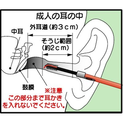 富士パックス販売 ツバキ耳かき SV-3000 2個（直送品） - アスクル
